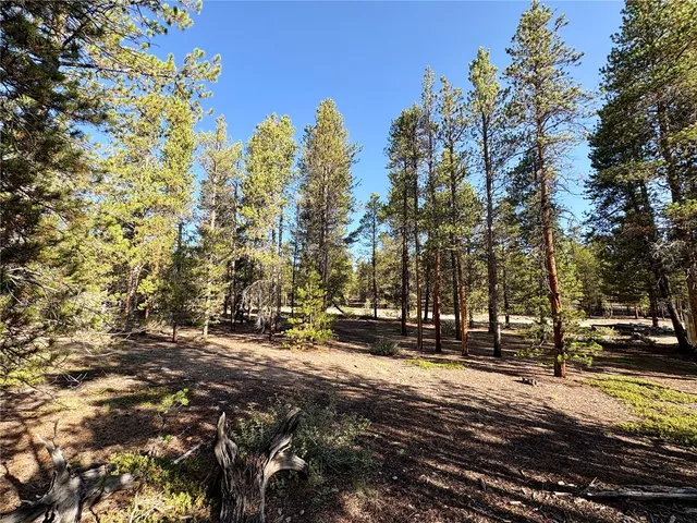 a view of outdoor space with trees