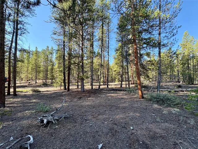 a view of a park with large trees