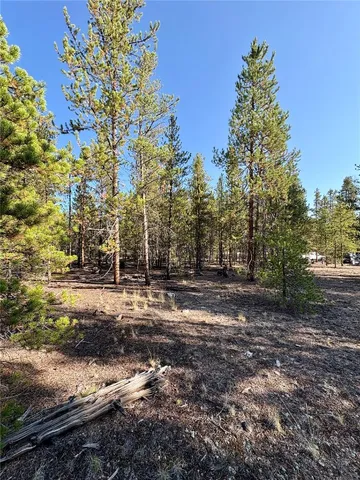 a view of a forest with trees