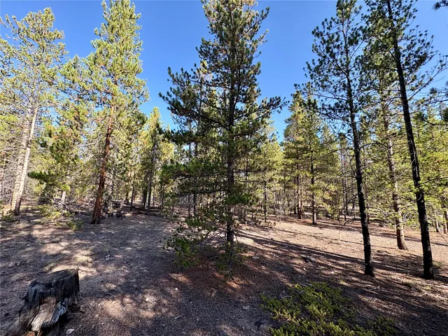 a view of road with trees
