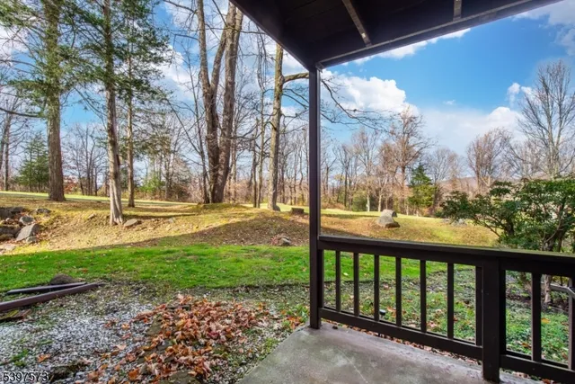 a view of a yard with large trees