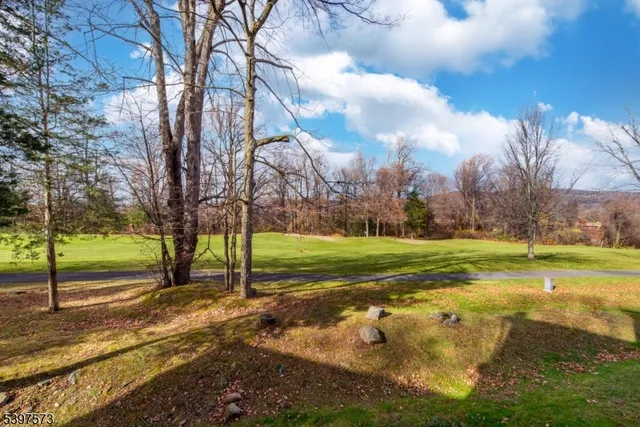 a view of a park with large trees