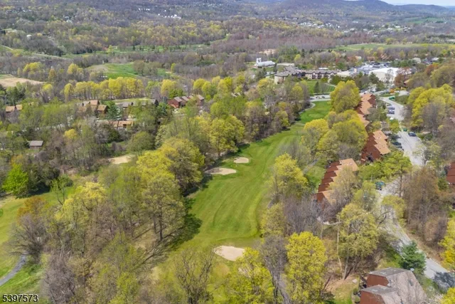 a view of city and mountain