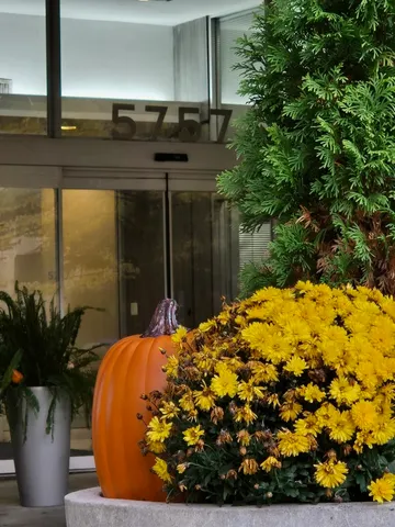 a kitchen with stainless steel appliances granite countertop a sink a stove and a microwave