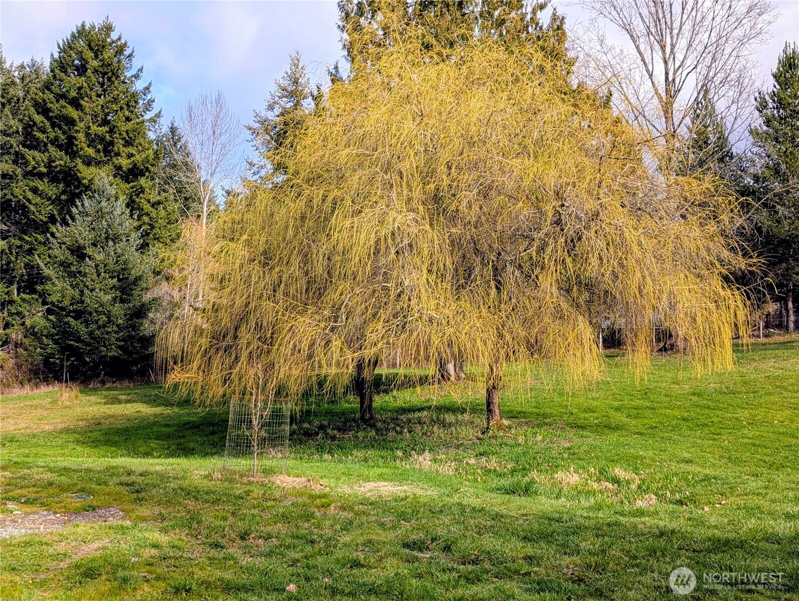 11108 Bliss Cochrane Road Northwest Gig Harbor, WA 98329 - Photo 38 of 39 a view of a park