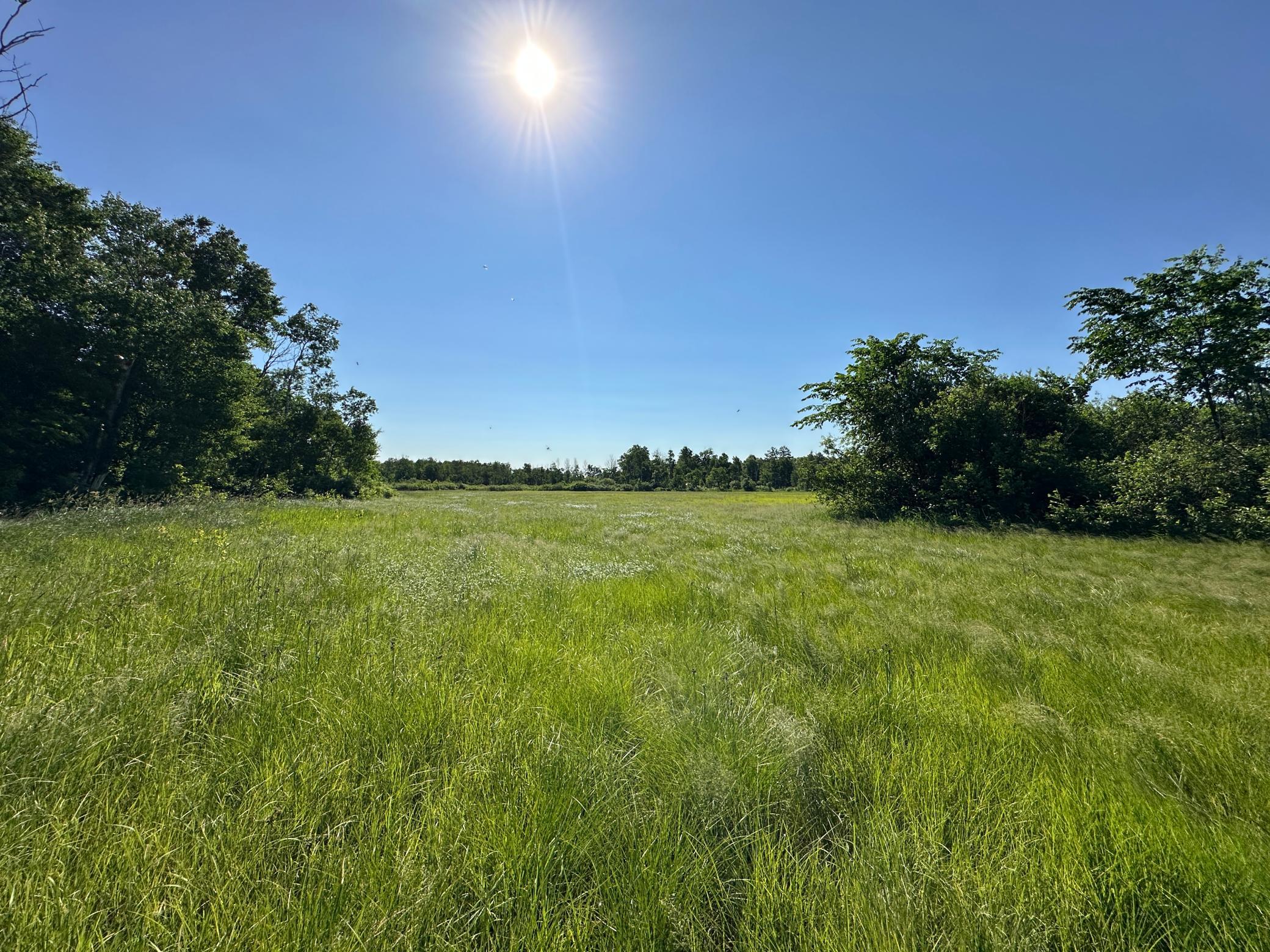 Tbd 205th Avenue Sebeka, MN 56477 - Photo 13 of 21