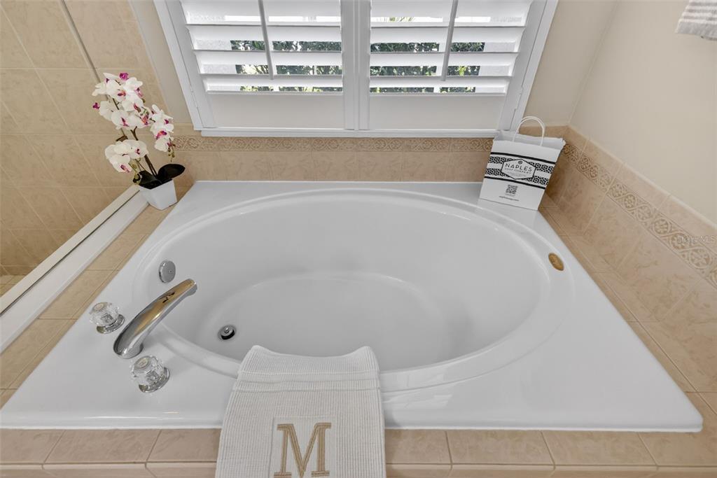 9096 Laurel Ridge Drive Mount Dora, FL 32757 - Photo 27 of 55