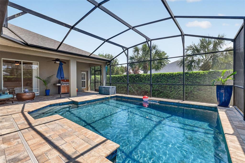9096 Laurel Ridge Drive Mount Dora, FL 32757 - Photo 41 of 55