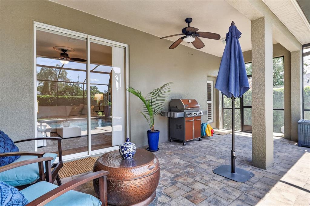 9096 Laurel Ridge Drive Mount Dora, FL 32757 - Photo 43 of 55
