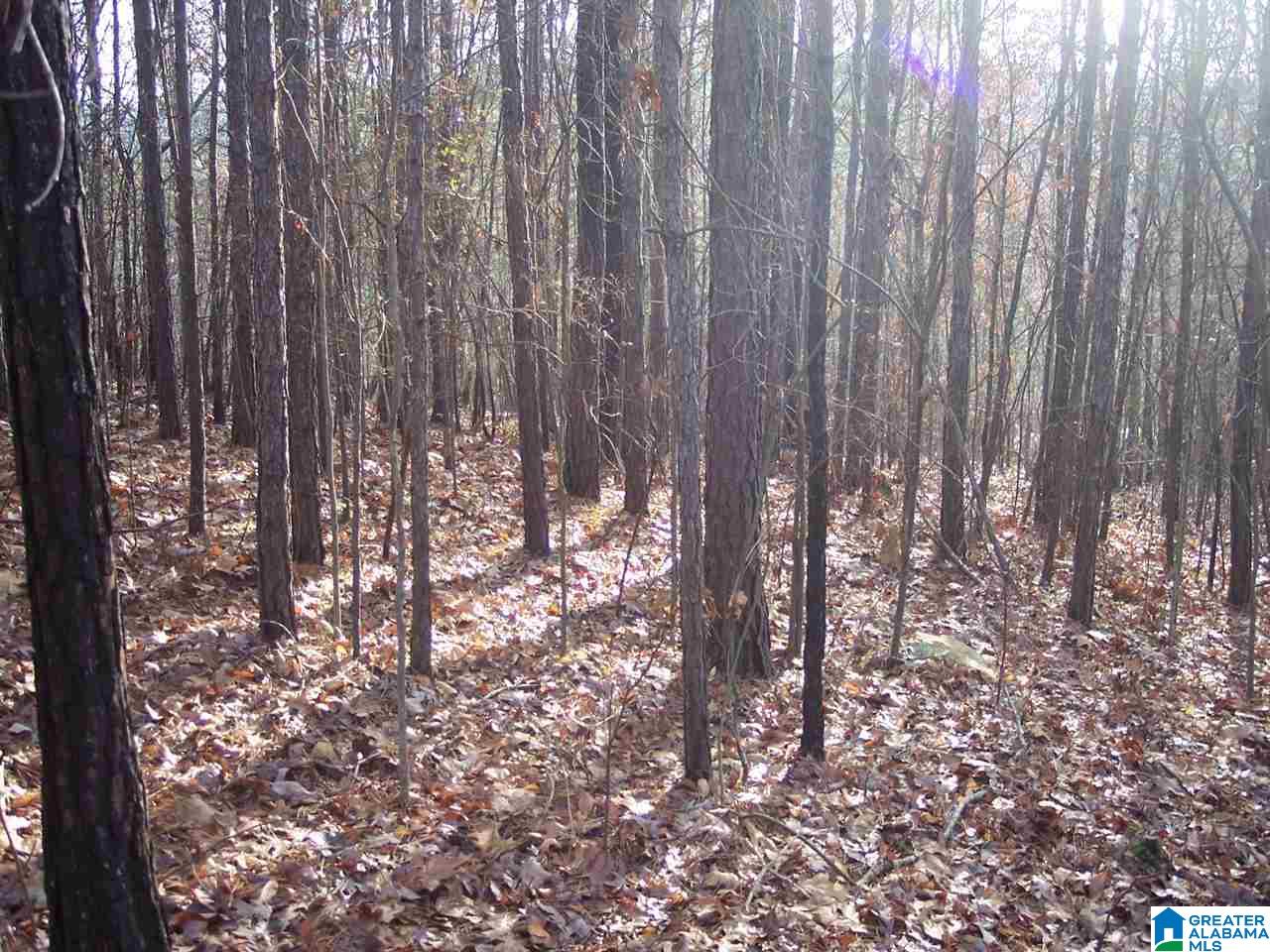 4 Dripping Rock Road, Unit 4 Piedmont, AL 36272 - Photo 8 of 12