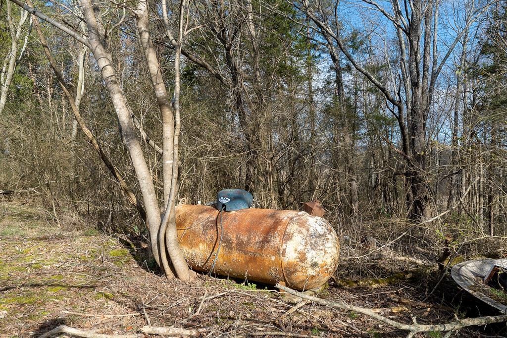 786 Quebeck Road Quebeck, TN 38579 - Photo 27 of 30 a view of a backyard