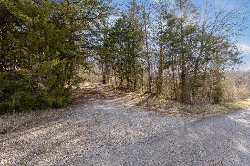 786 Quebeck Road Quebeck, TN 38579 - Photo 30 of 30 a view of backyard with large trees