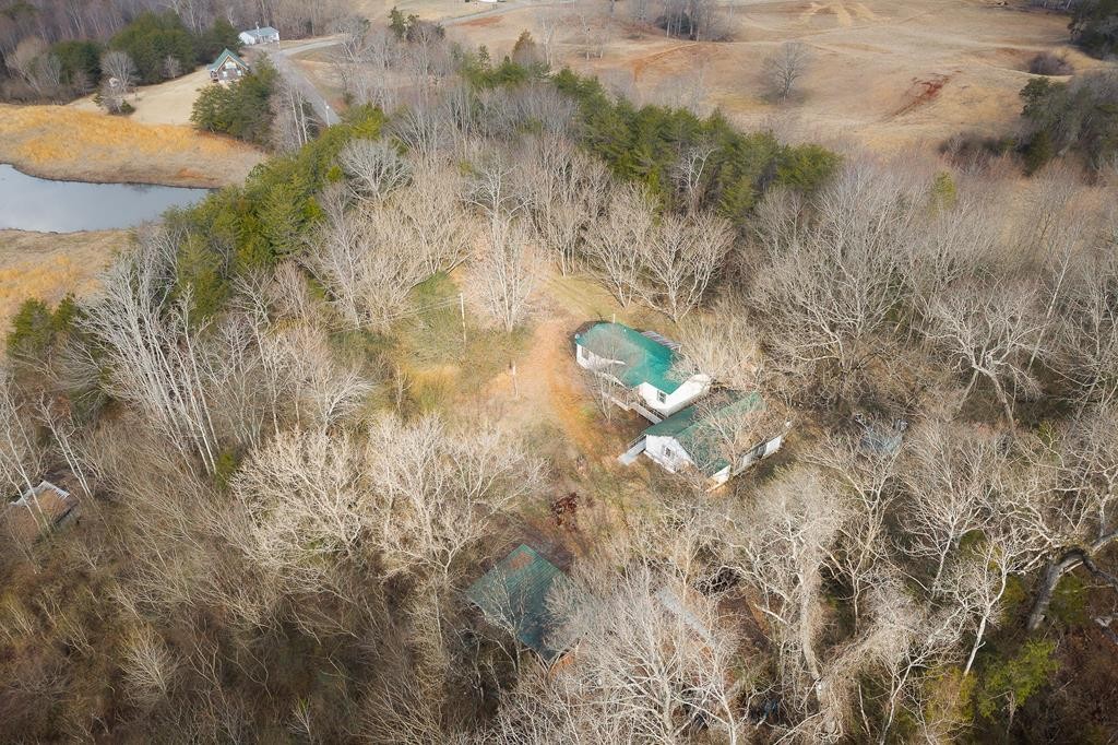 786 Quebeck Road Quebeck, TN 38579 - Photo 9 of 30 a view of a yard