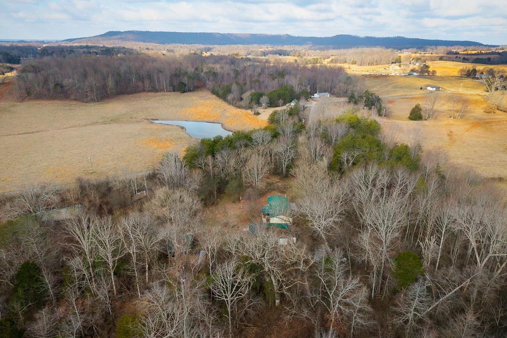 786 Quebeck Road Quebeck, TN 38579 - Photo 10 of 30 a view of lake with beach