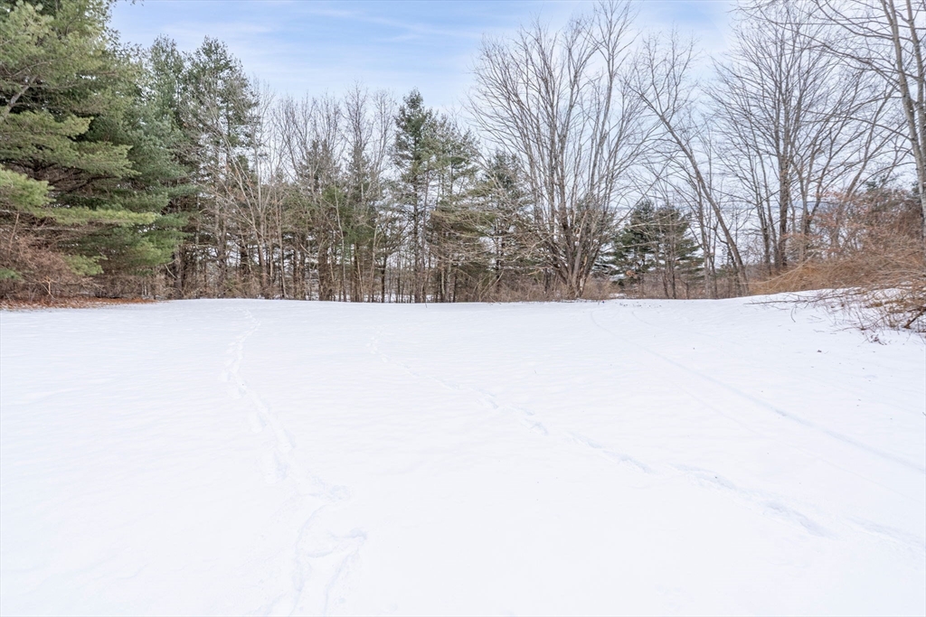 169 Nashua Road Pepperell, MA 01463 - Photo 28 of 31 a white house that has a tree in front of it