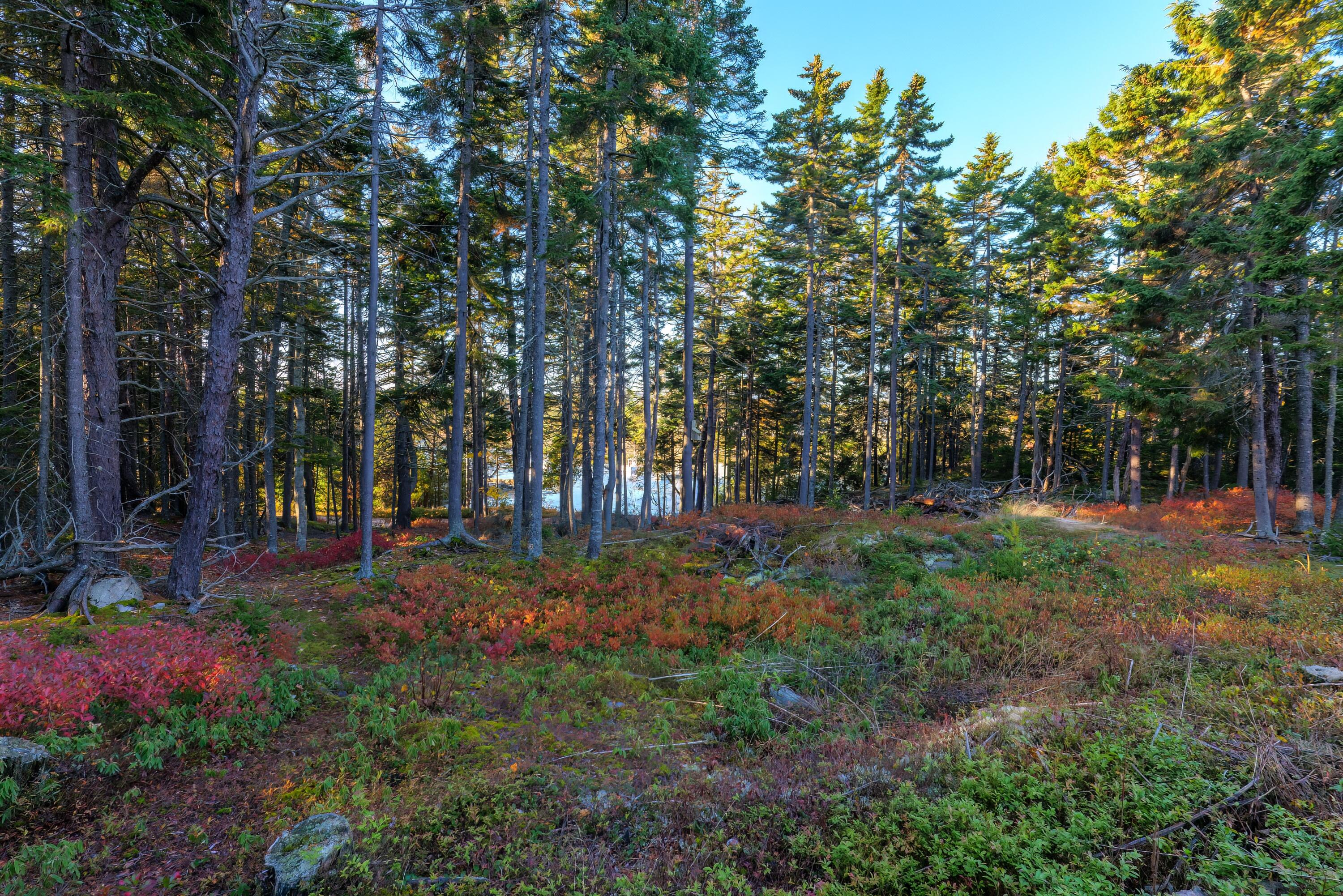 14 Town Landing Road Birch Harbor, ME 04613 - Photo 25 of 34 24 - 14 Town Landing Road - DTP