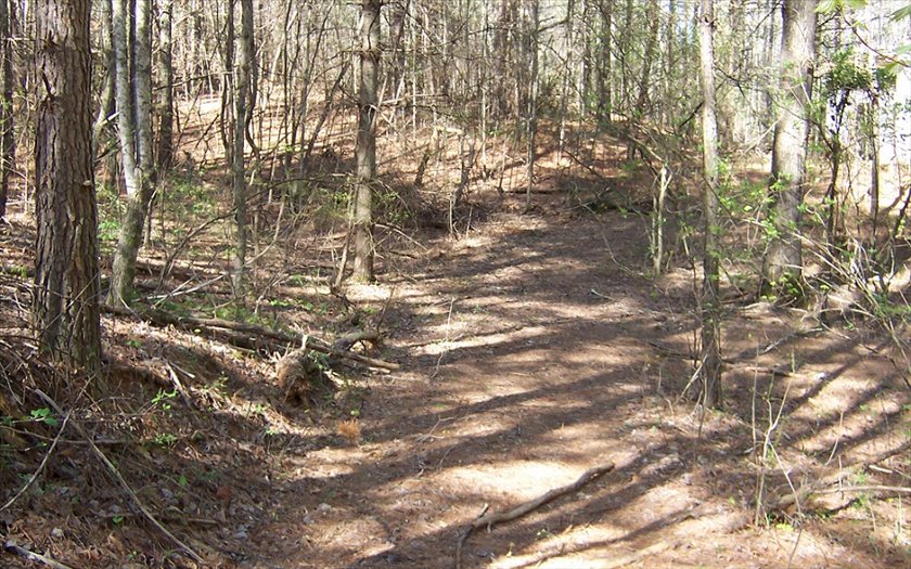 Indian Valley Road Ellijay, GA 30540 - Photo 1 of 1 Main View