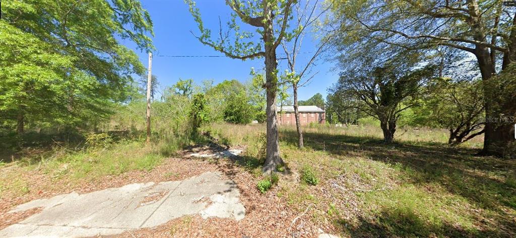 120 Front Street Century, FL 32535 - Photo 2 of 6 a view of a yard with plants and trees