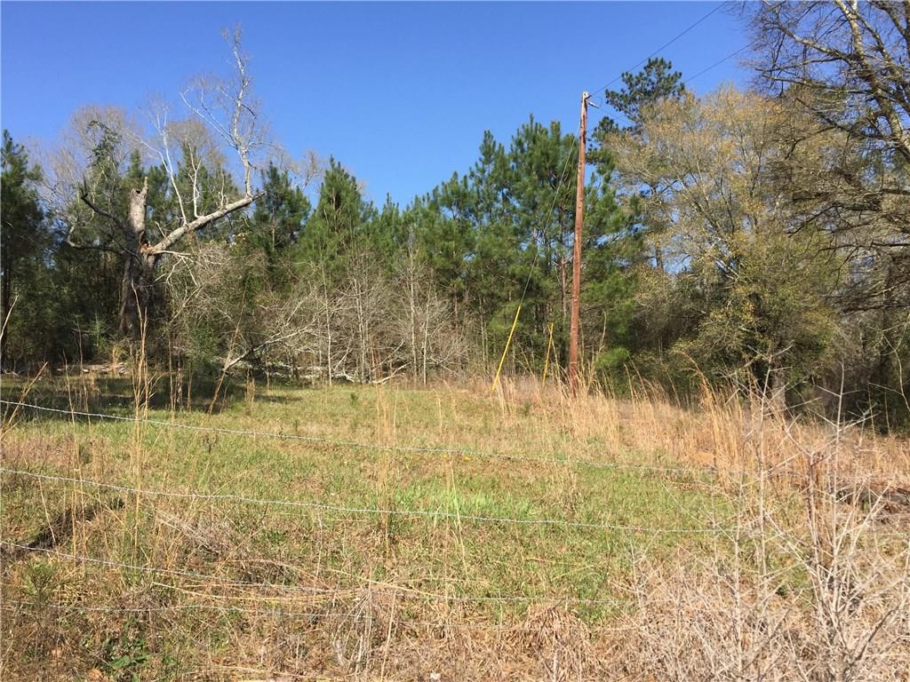 31134 Cleve Kennedy Road Franklinton, LA 70438 - Photo 1 of 5 Gallery Image 1