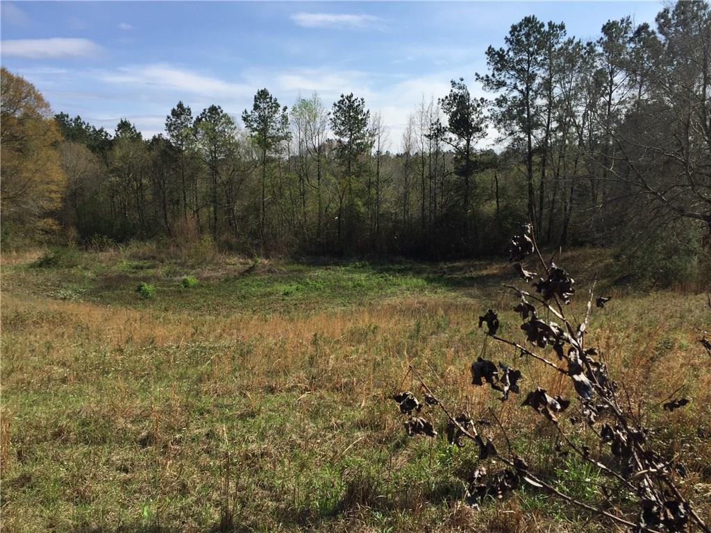 31134 Cleve Kennedy Road Franklinton, LA 70438 - Photo 3 of 5 Gallery Image 3