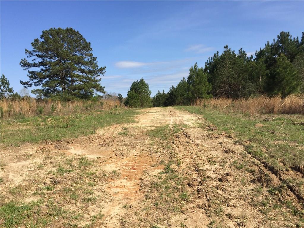 31134 Cleve Kennedy Road Franklinton, LA 70438 - Photo 4 of 5 Gallery Image 4