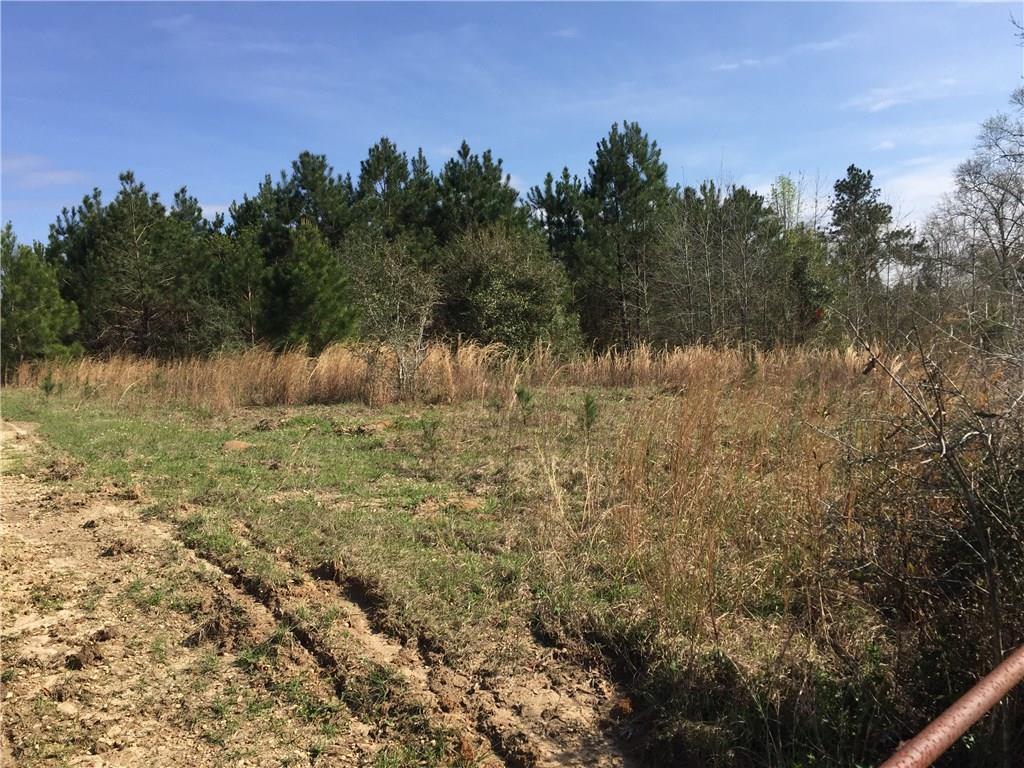 31134 Cleve Kennedy Road Franklinton, LA 70438 - Photo 5 of 5 Gallery Image 5
