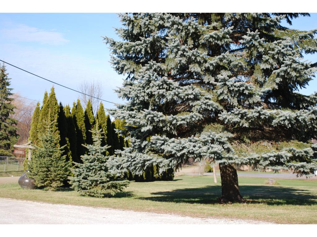 399 Monkton Road Charlotte, VT 05445 - Photo 24 of 25 Gallery Image 24