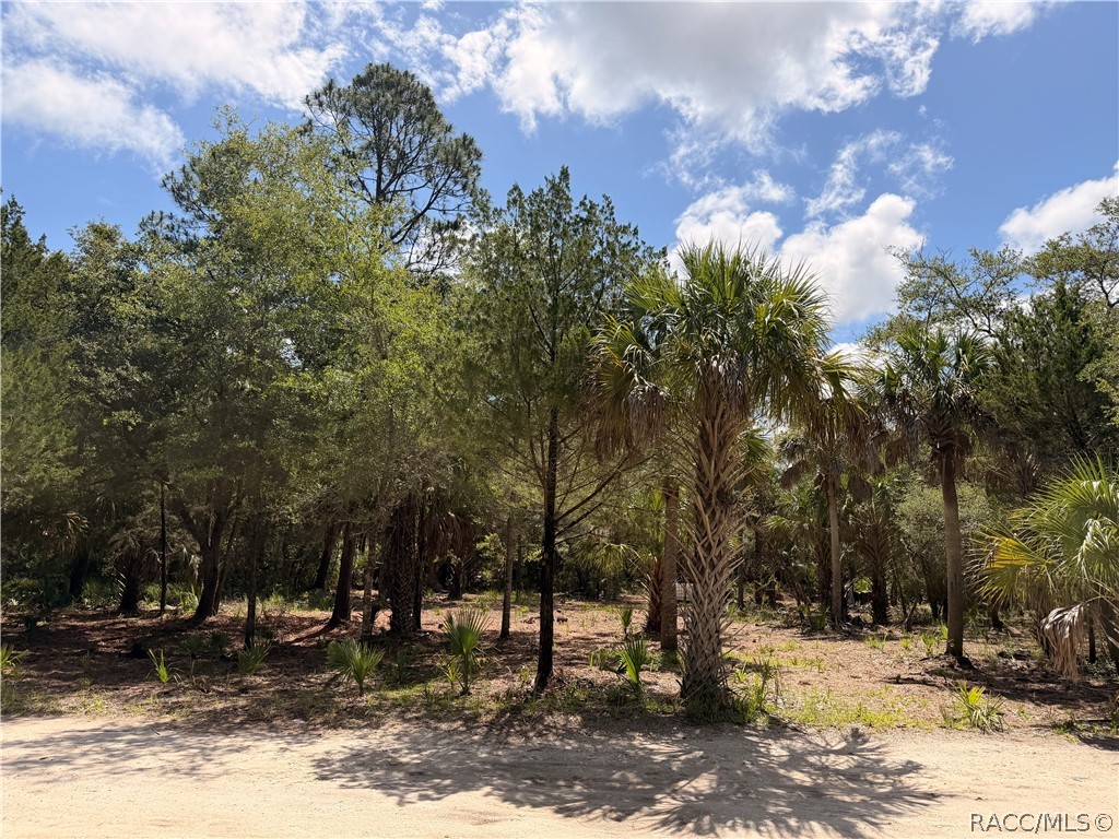 11345 North Moonlight Terrace Inglis, FL 34449 - Photo 10 of 11