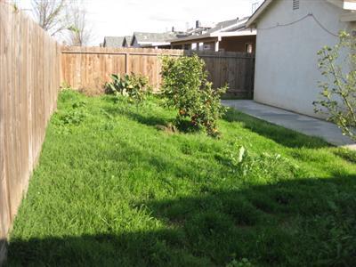 1017 Perkins Road Madera, CA 93637 - Photo 5 of 5 Gallery Image 5