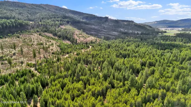 $1,025,000 | 181 Deer Meadow Lane, Blanchard, ID 83804