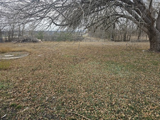 408 Greenfield Road Kyle, TX 78640 - Photo 13 of 19 a view of yard with trees