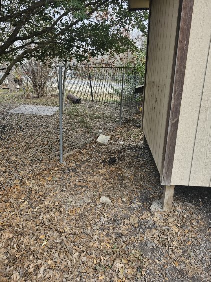 408 Greenfield Road Kyle, TX 78640 - Photo 17 of 19 a view of a yard with a tree