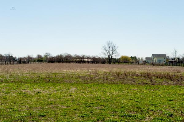 8025 Patterson Road Hilliard, OH 43026 - Photo 99 of 111 Gallery Image 99