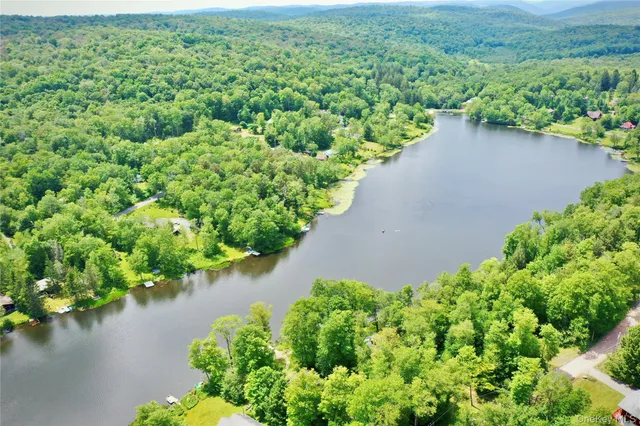a view of a garden with a lake