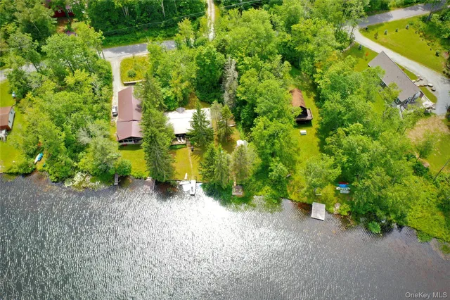 a view of a garden with plants