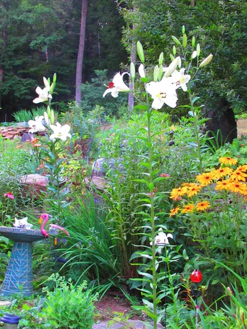 $475,000 | 1452 Tyson Road, Reading, VT 05062