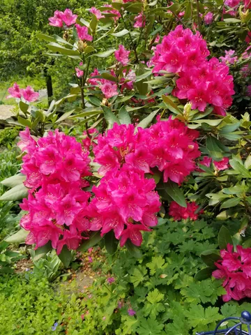 $475,000 | 1452 Tyson Road, Reading, VT 05062