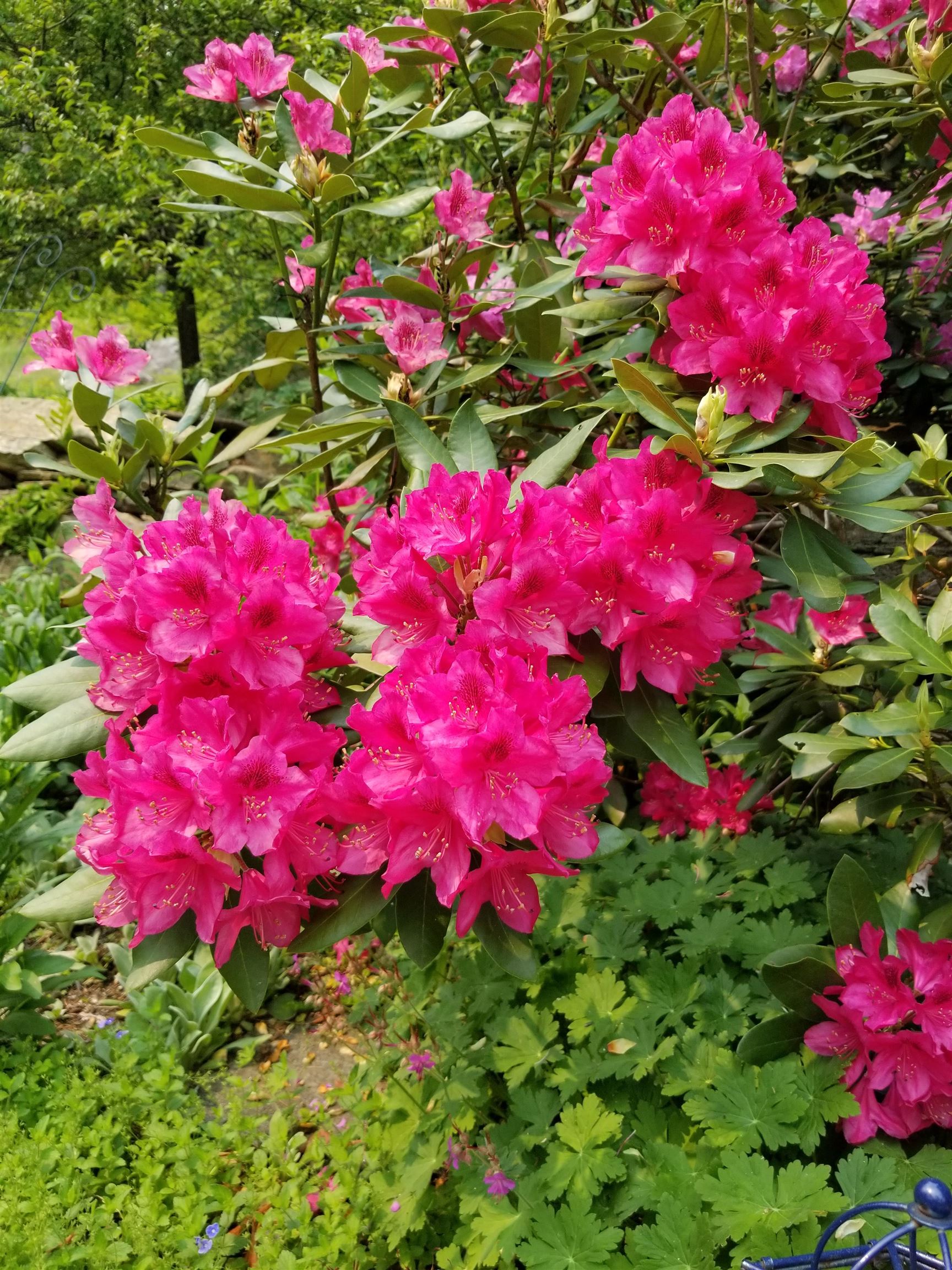 1452 Tyson Road Reading, VT 05062 - Photo 11 of 47