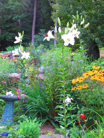 $450,000 | 1452 Tyson Road, Reading, VT 05062