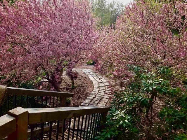 $475,000 | 1452 Tyson Road, Reading, VT 05062