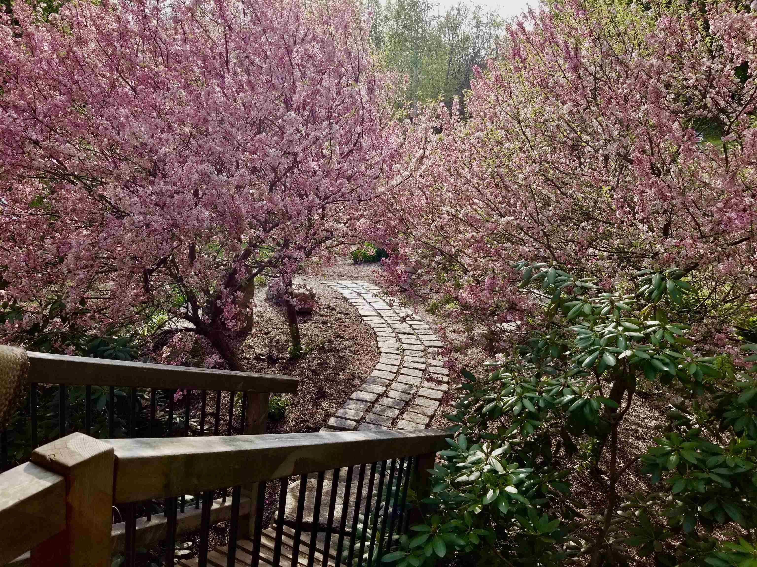 1452 Tyson Road Reading, VT 05062 - Photo 15 of 47