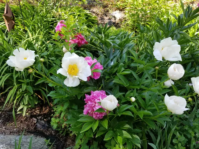 $475,000 | 1452 Tyson Road, Reading, VT 05062