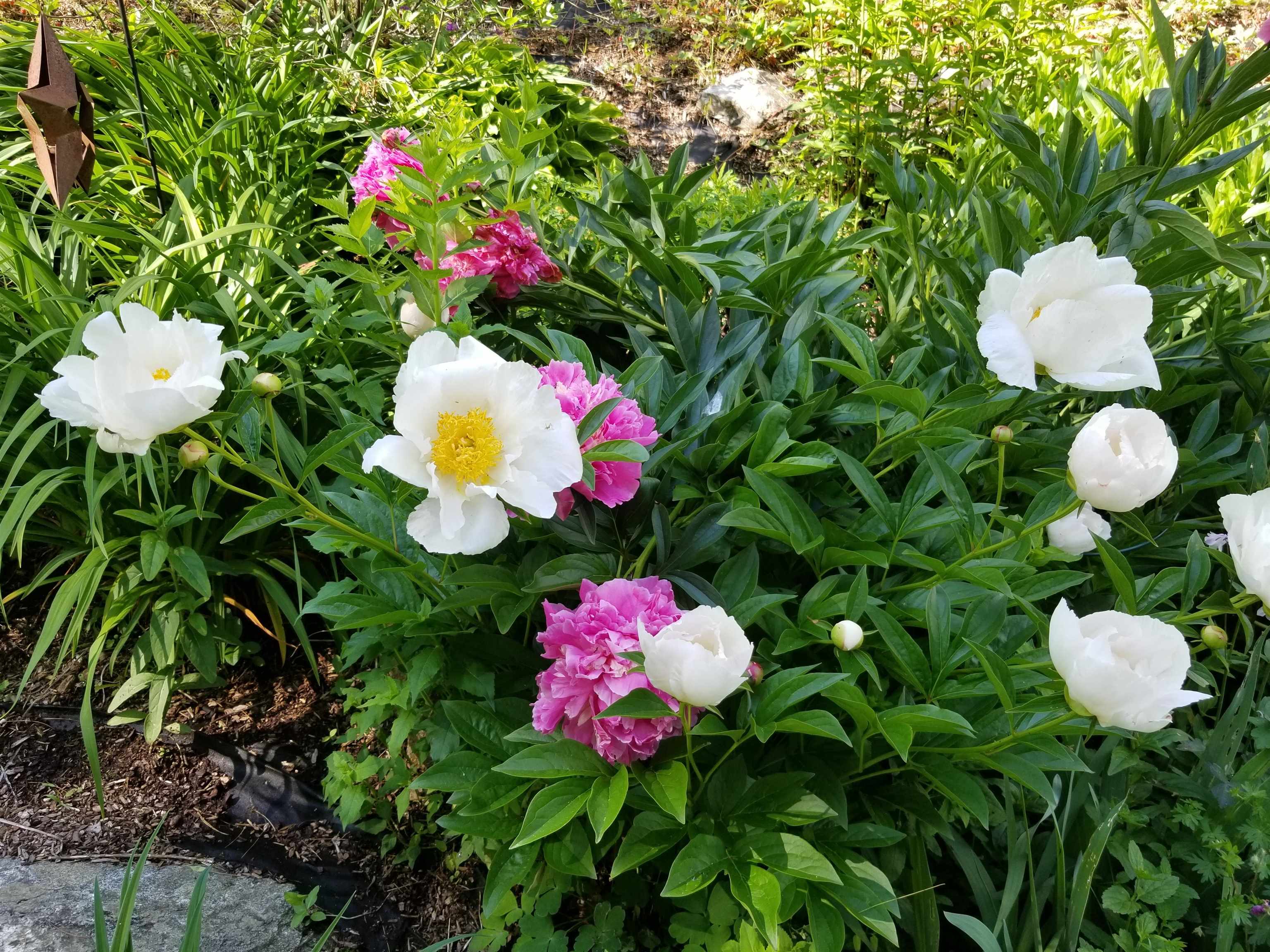 1452 Tyson Road Reading, VT 05062 - Photo 7 of 47