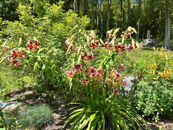 $450,000 | 1452 Tyson Road, Reading, VT 05062