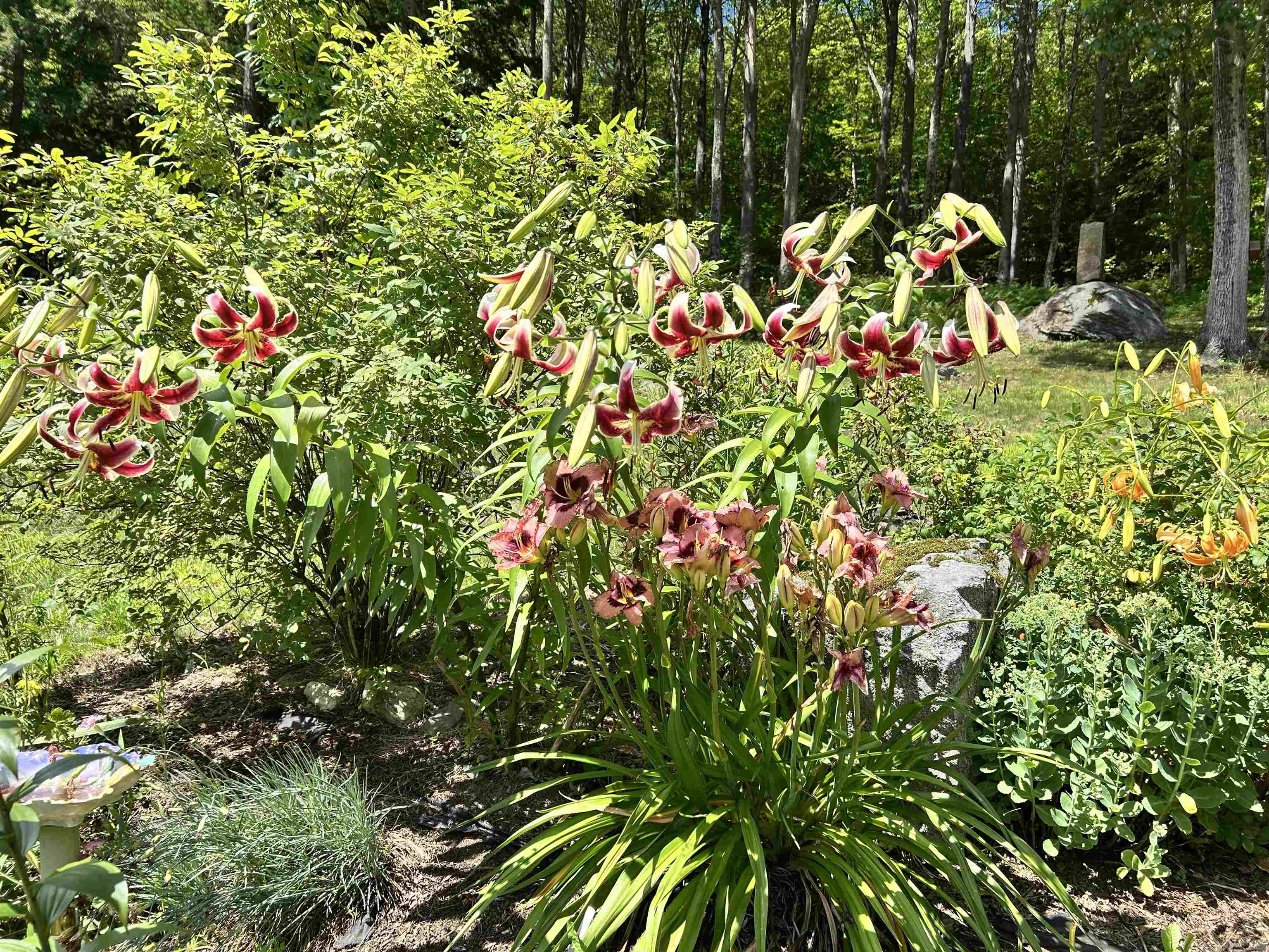 1452 Tyson Road Reading, VT 05062 - Photo 9 of 47