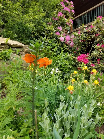 $475,000 | 1452 Tyson Road, Reading, VT 05062