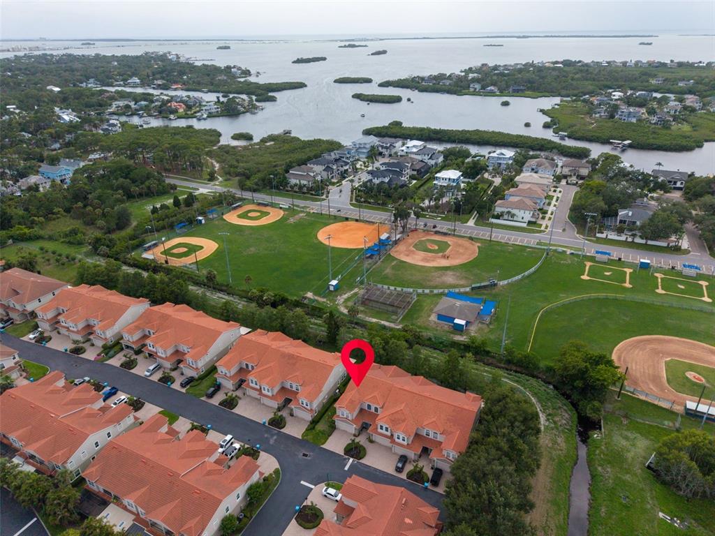 1460 Ribolla Drive Palm Harbor, FL 34683 - Photo 46 of 47
