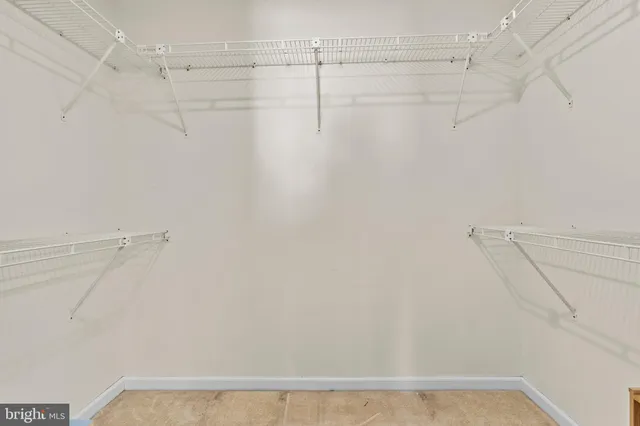 a close view of a shower in a bathroom