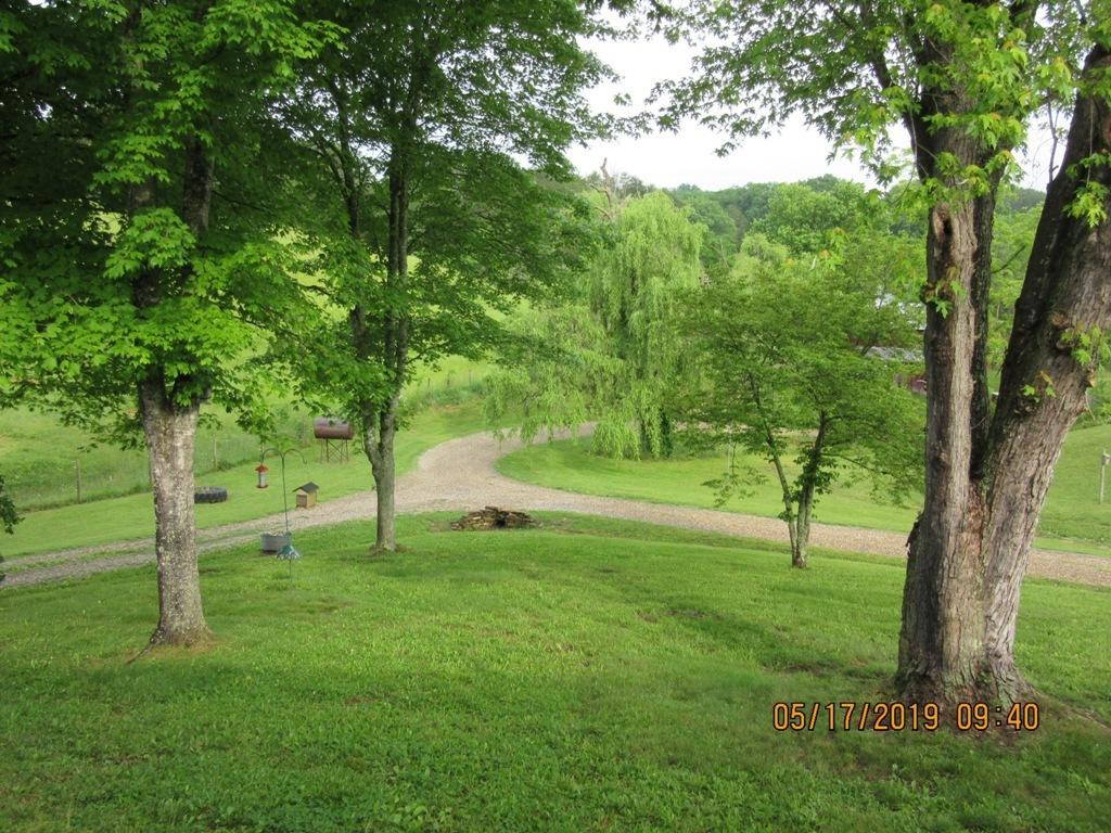 705 Hawk Hollow Road Greeneville, TN 37743 - Photo 16 of 24 Photo 16