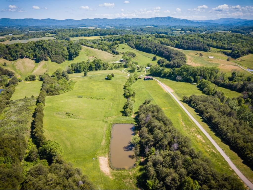 705 Hawk Hollow Road Greeneville, TN 37743 - Photo 4 of 24 Photo 4